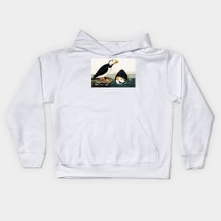 Bird of America  Bird, bird lover, america, beautiful  Public domain painting by John James Audubon Kids Hoodie